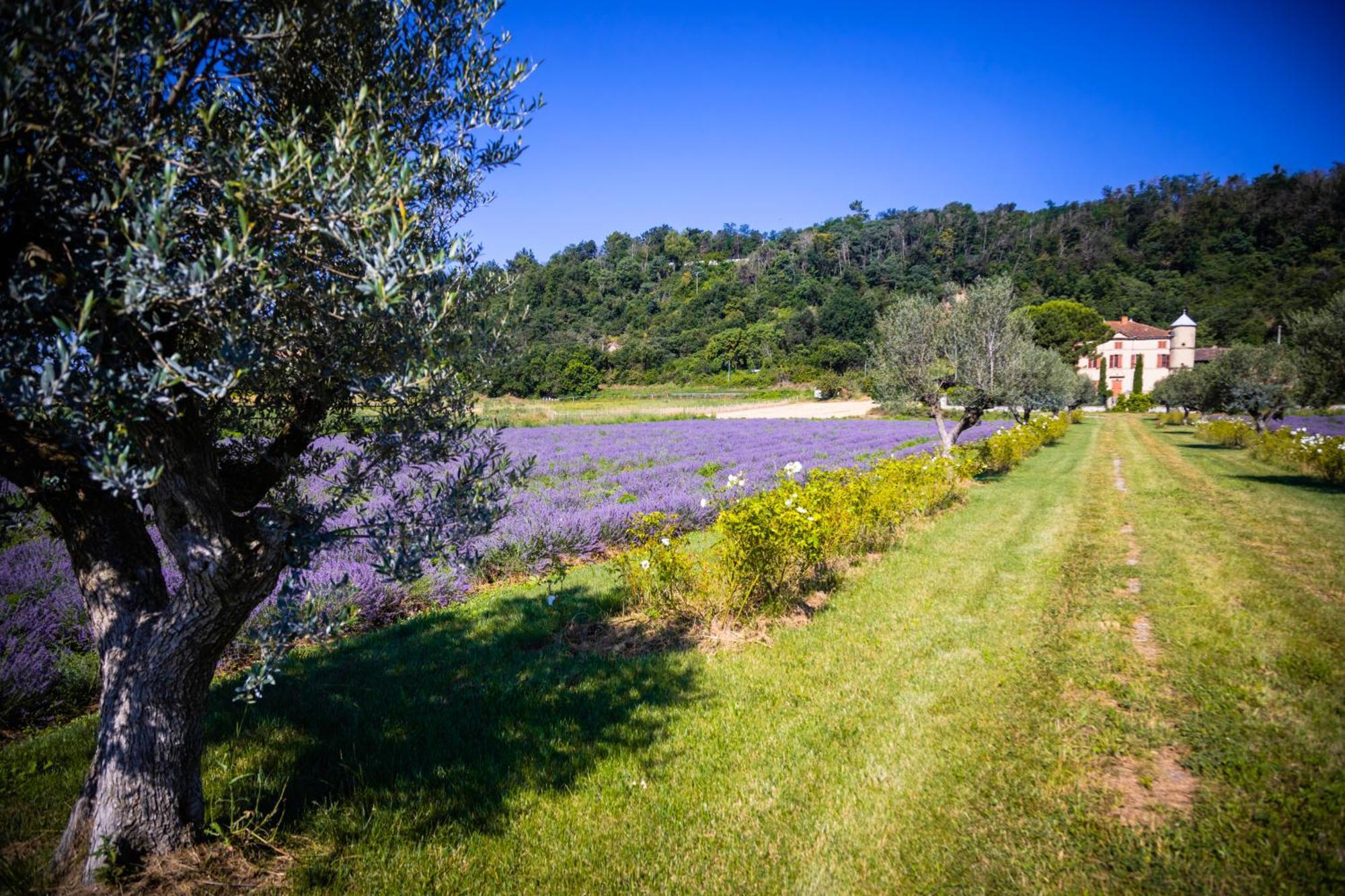 Domaine Des Balmes Villa Romans-sur-Isère Exterior foto